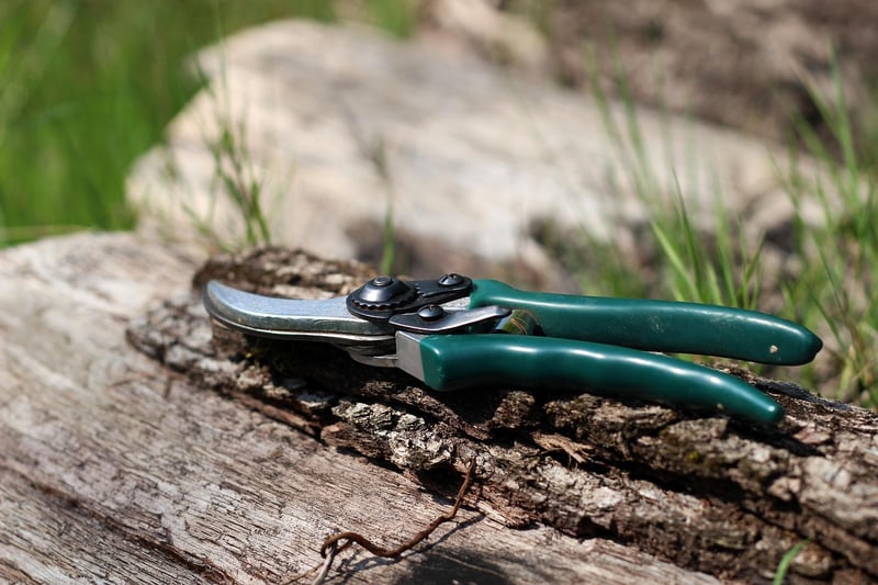 Gardening Pruning